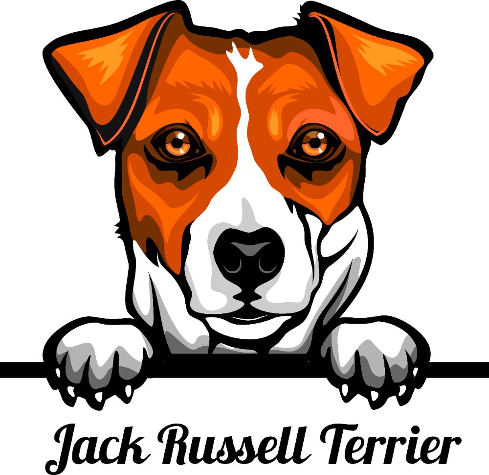 JACK RUSSELL