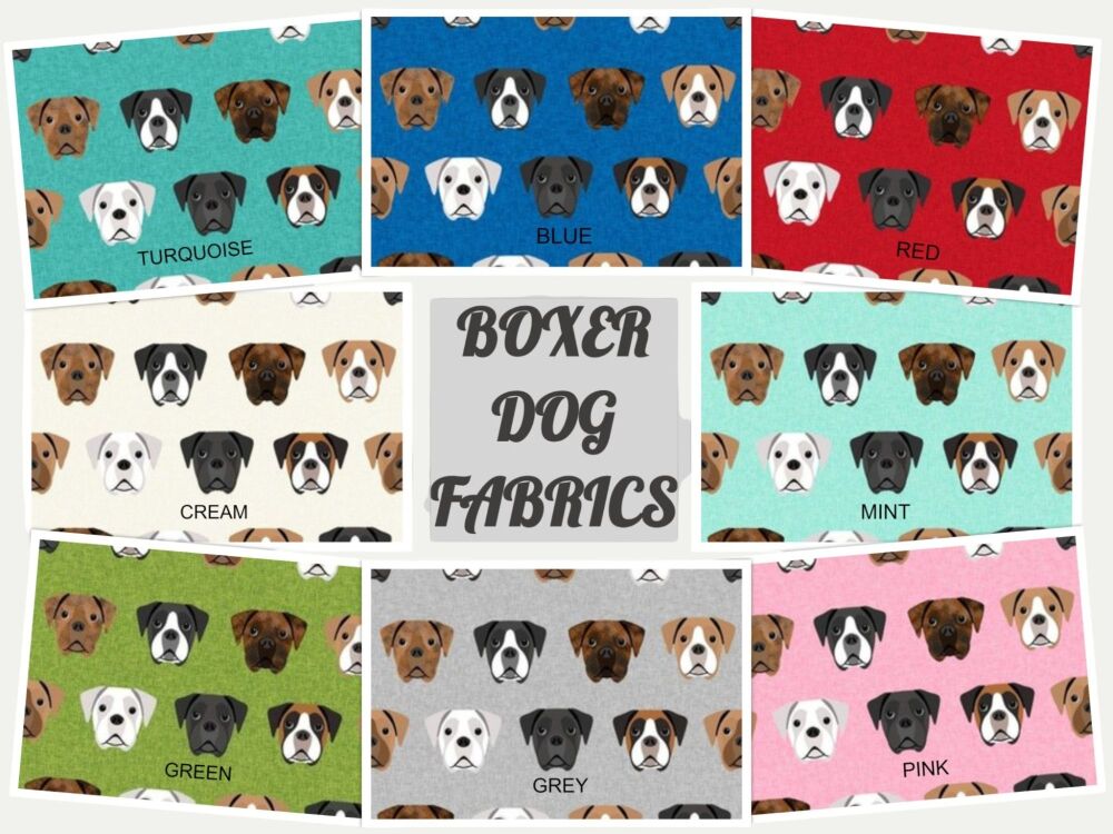 BOXER COLLAGE 1 NEW OCT 2025 WEB-Photoroom