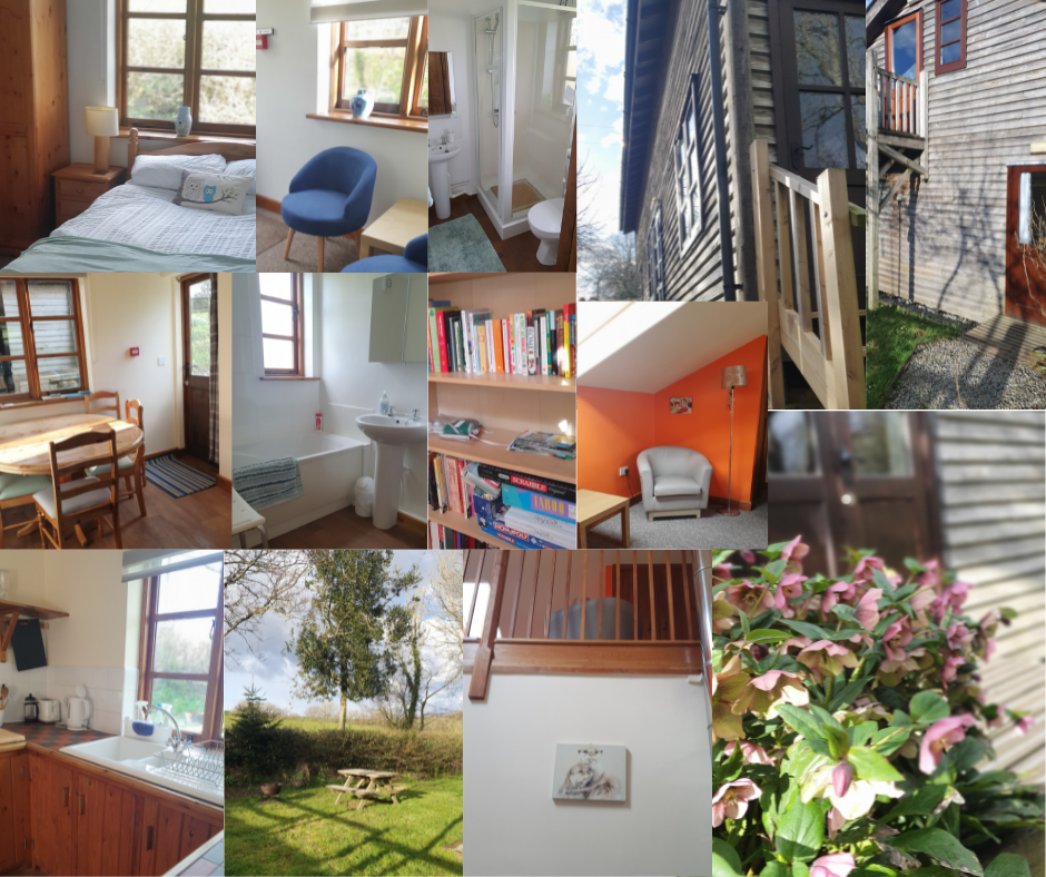 Bunkhouse collage