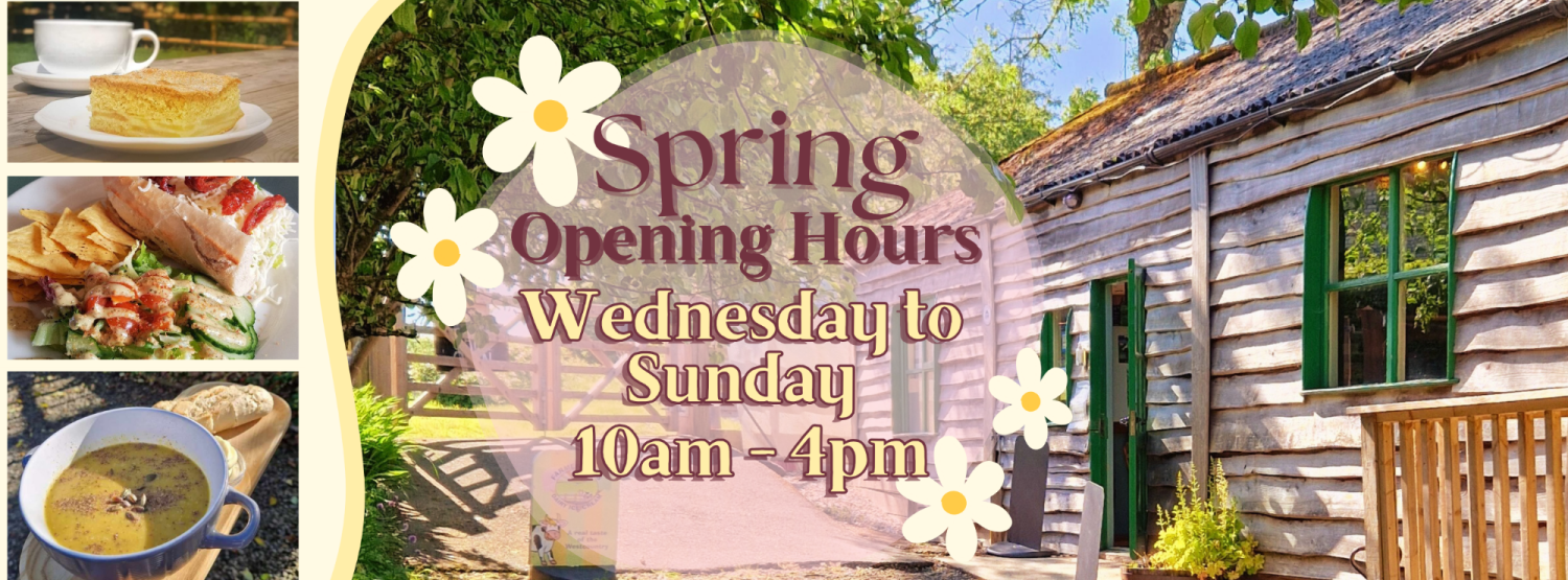 Facebook Cover spring 2025