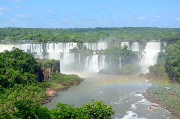 Rainforest around waterfalls in Brazil