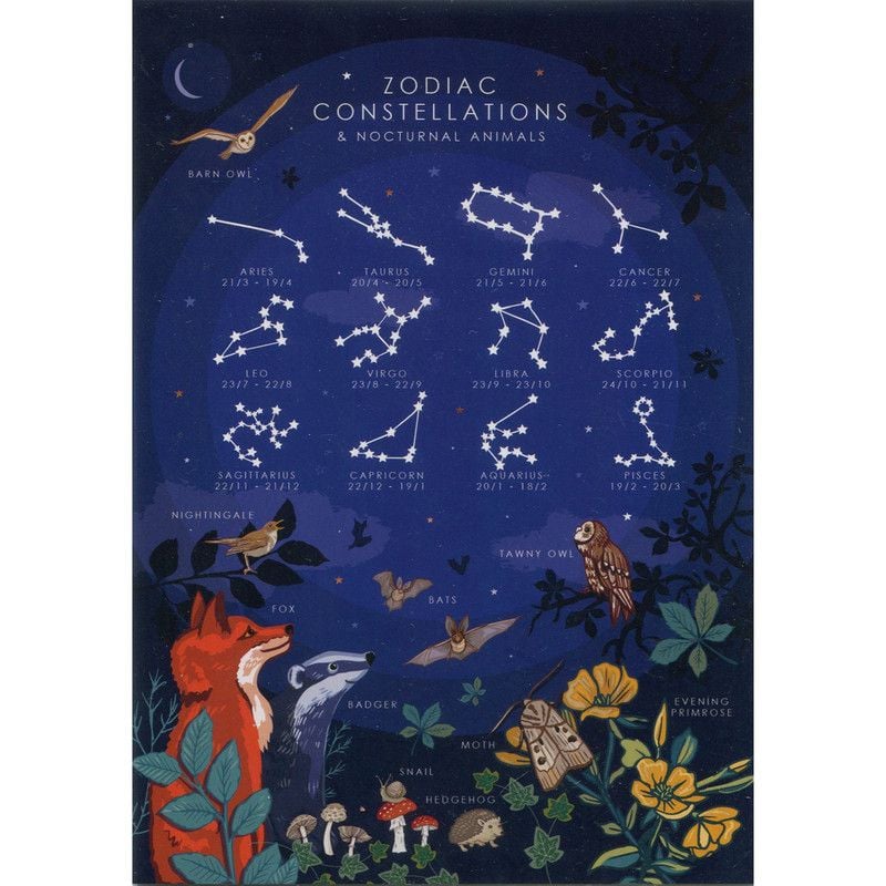 Zodiac Constellations (Blank) Greeting Card