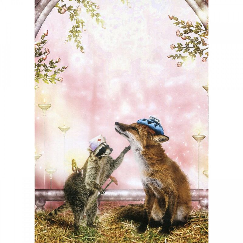 The Raccoon and the Fox - Get Well Card