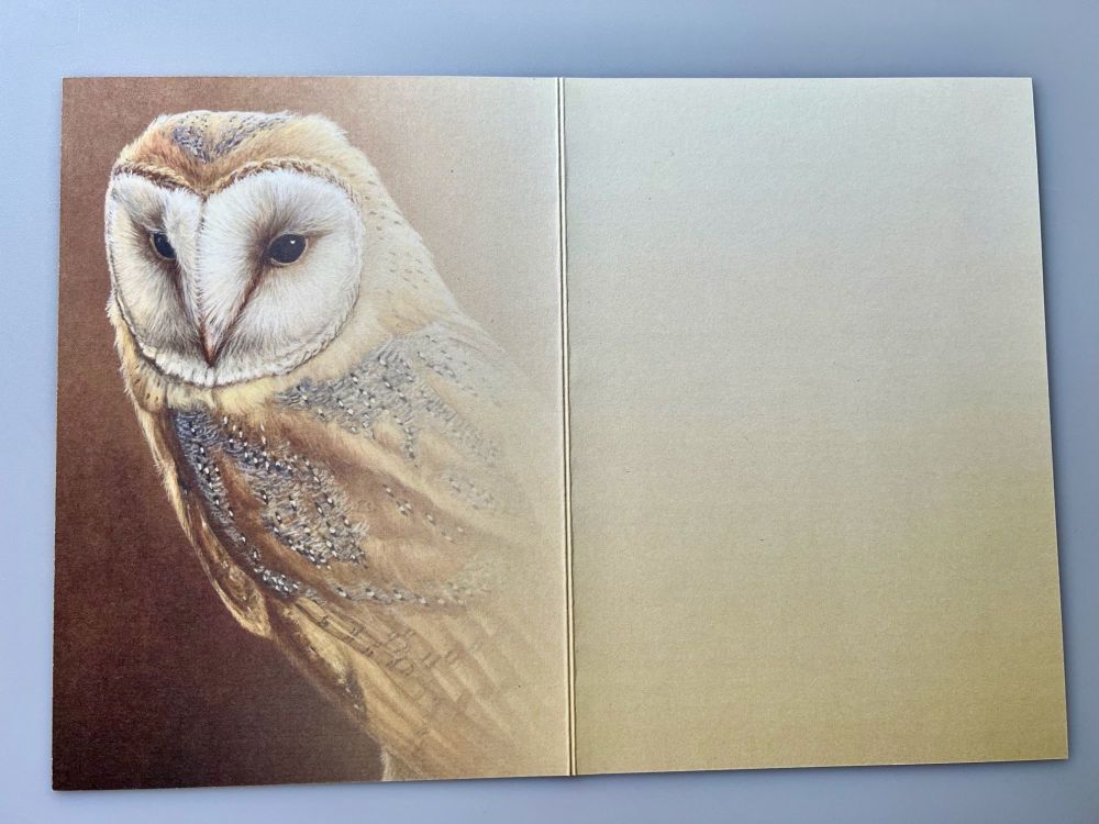 Barn Owl - Blank - Tree Free Card