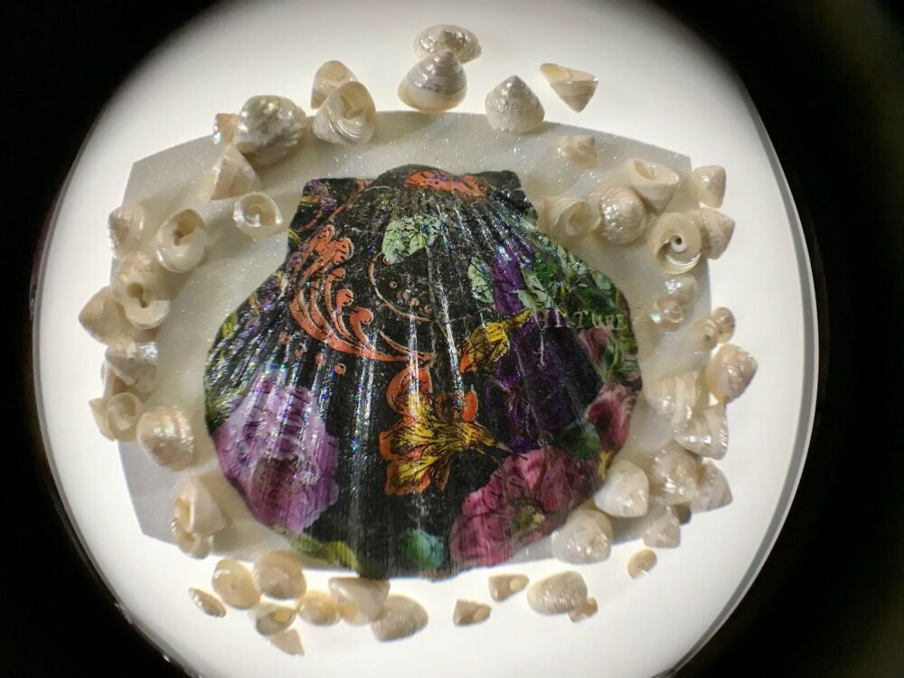Beautiful Scallop Shell with a Cat & Flowers & Sparkle