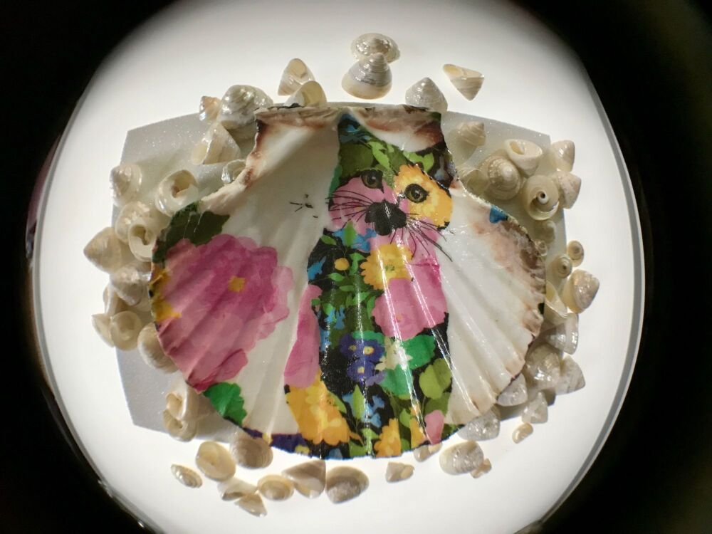 Beautiful Scallop Shell with a Cat & Flowers & Sparkle