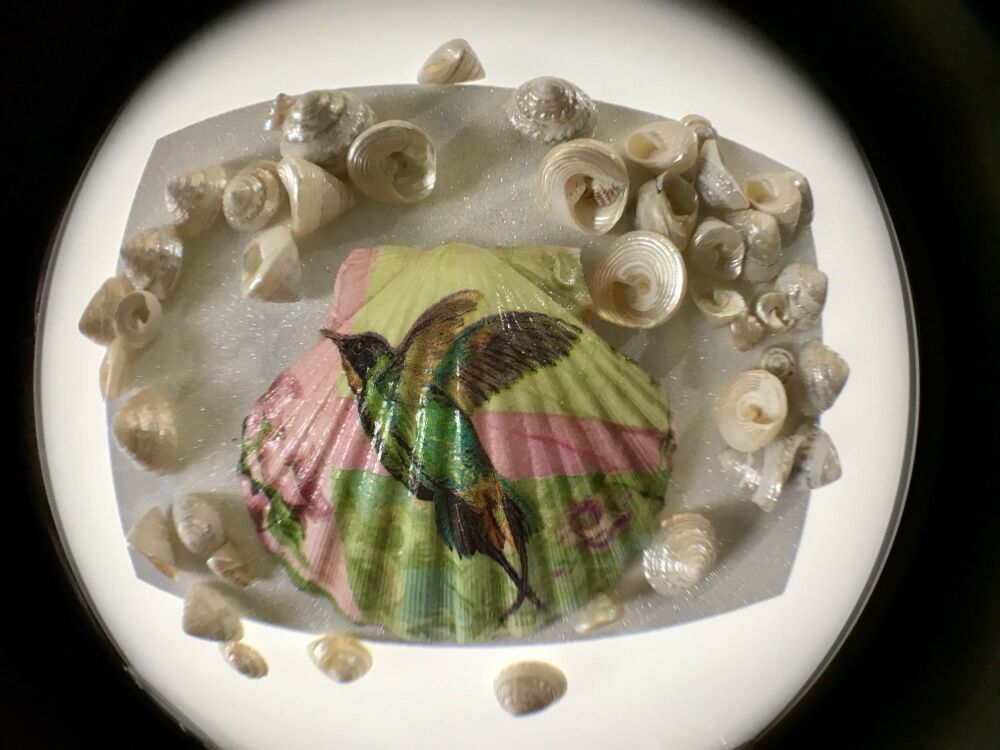 Beautiful Scallop Shell with Hummingbird, Flamingo & Flowers & Sparkle