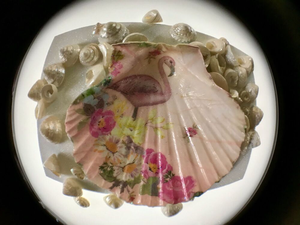 Beautiful Scallop Shell with Hummingbird, Flamingo & Flowers & Sparkle