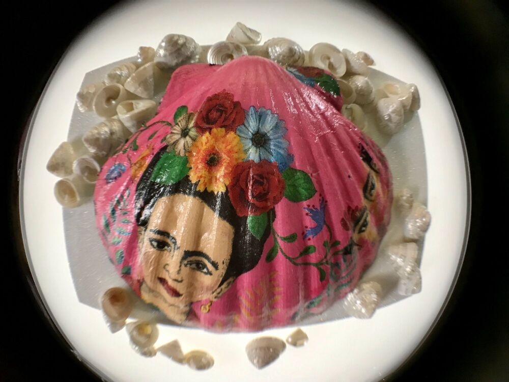 Beautiful Scallop Shell with Frieda and Mexican Skull with Sparkle