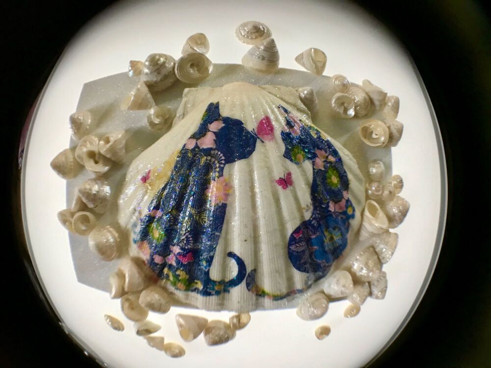 Lovely Scallop Shell with Blue Cats, Flowers and Sparkle