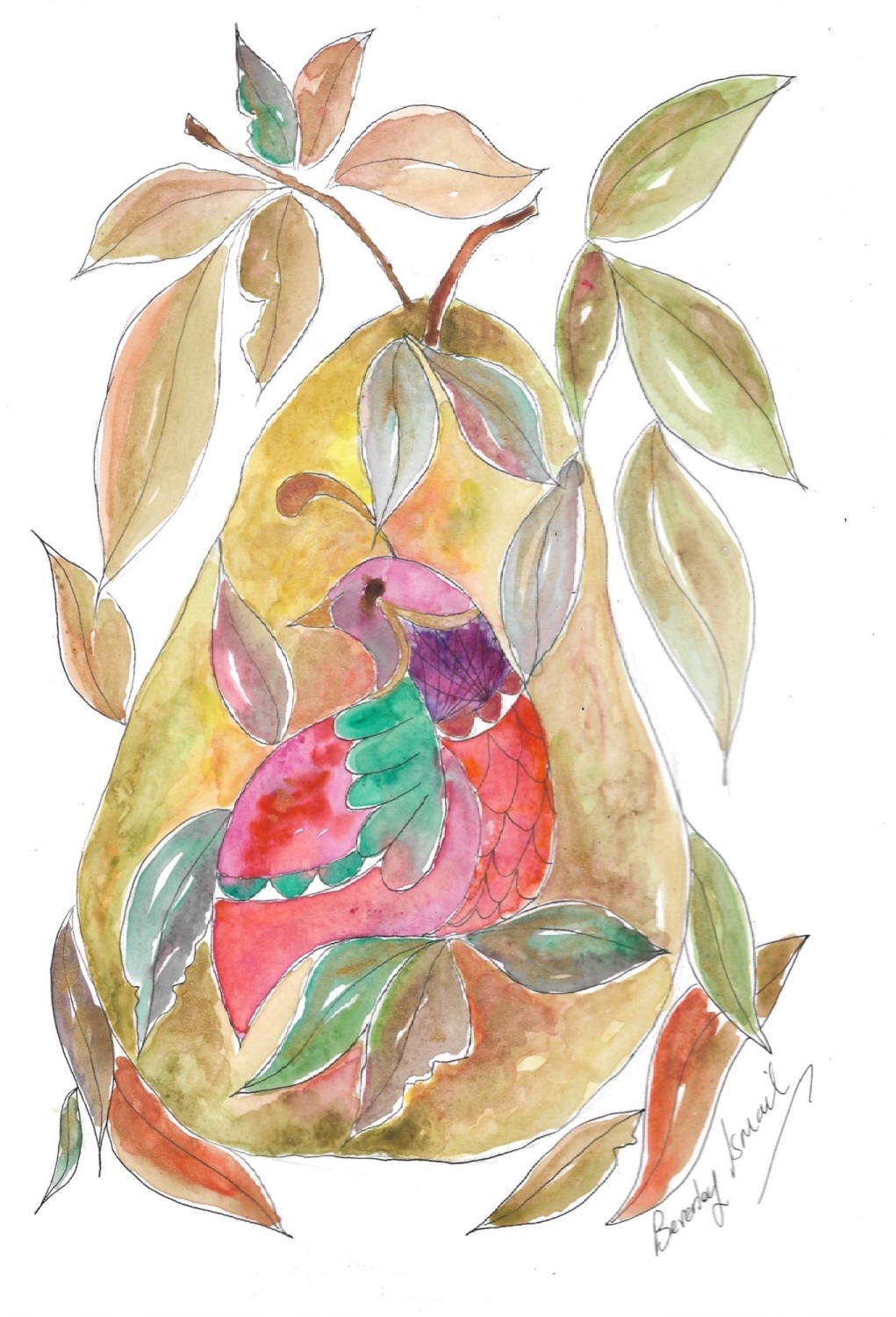 ‘Partridge in a pear tree’