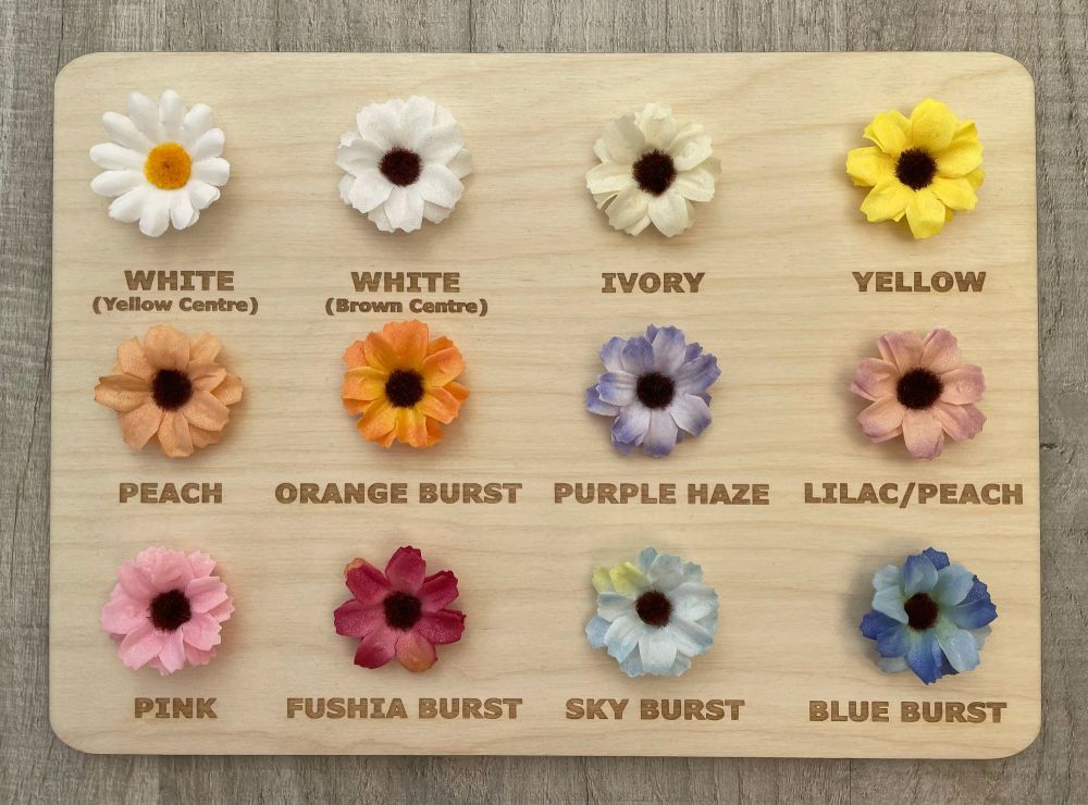 Daisy-Colour-Chart