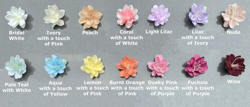 Lily-Colour-Chart