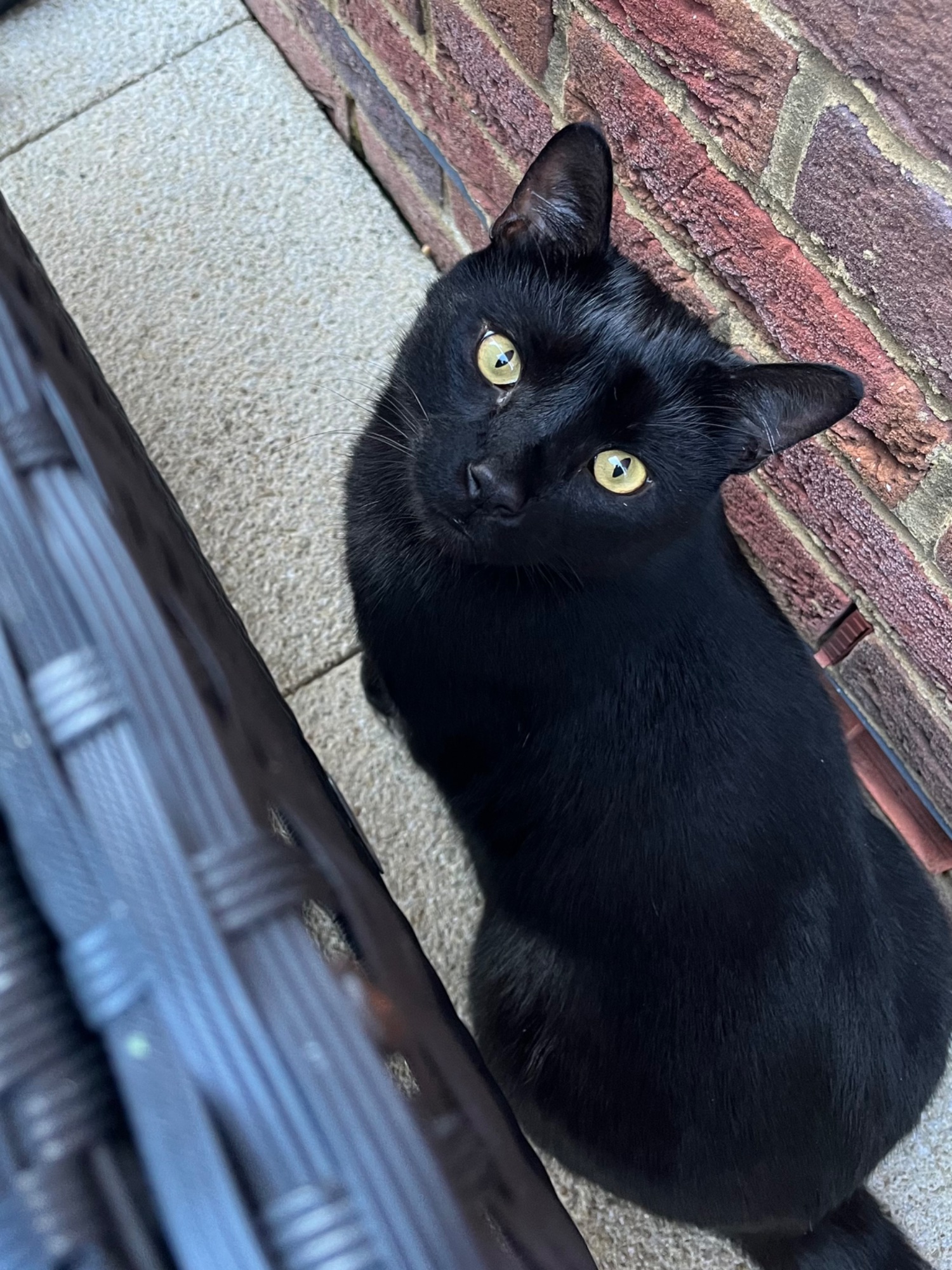 White single speed bike