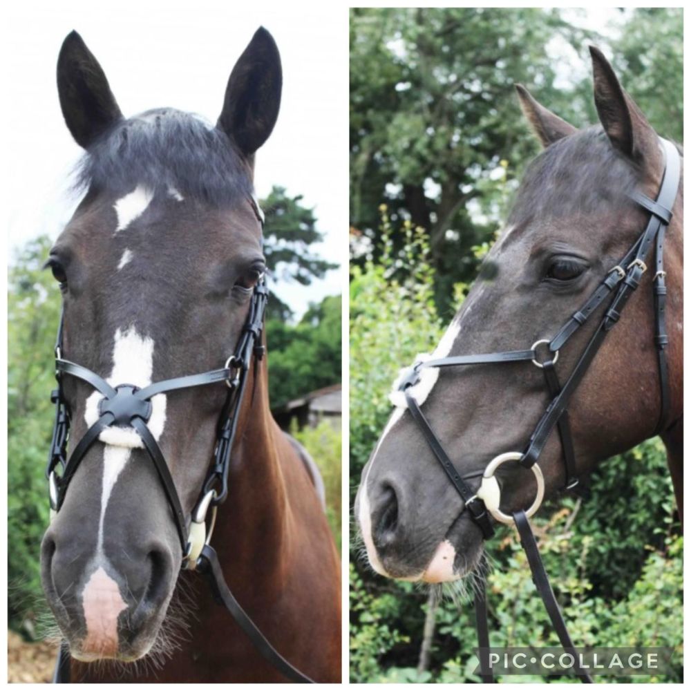 Mexican Grackle Bridle with Rubber Reins