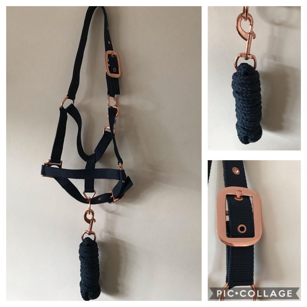 Head Collar and Lead Rope, Rose Gold, Navy