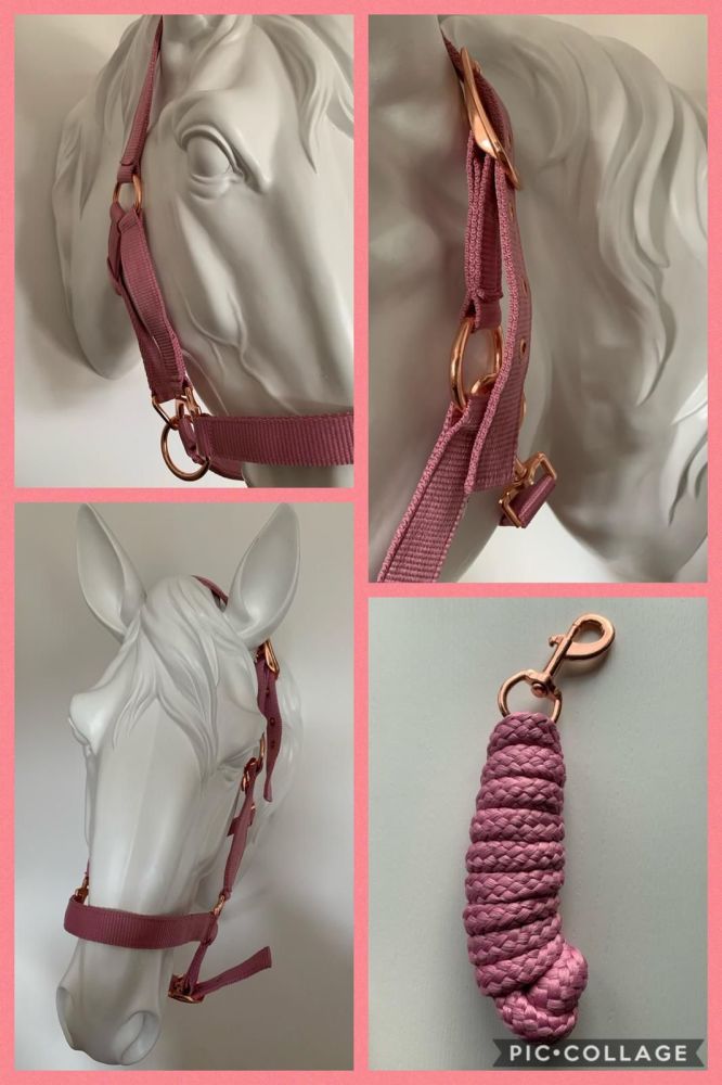 Head Collar and Lead Rope, Rose Gold, Pink