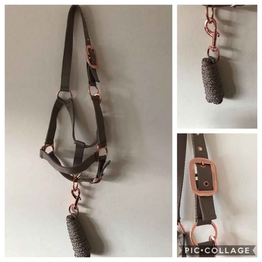 Headcollar and Lead Rope, Rose Gold, Sand