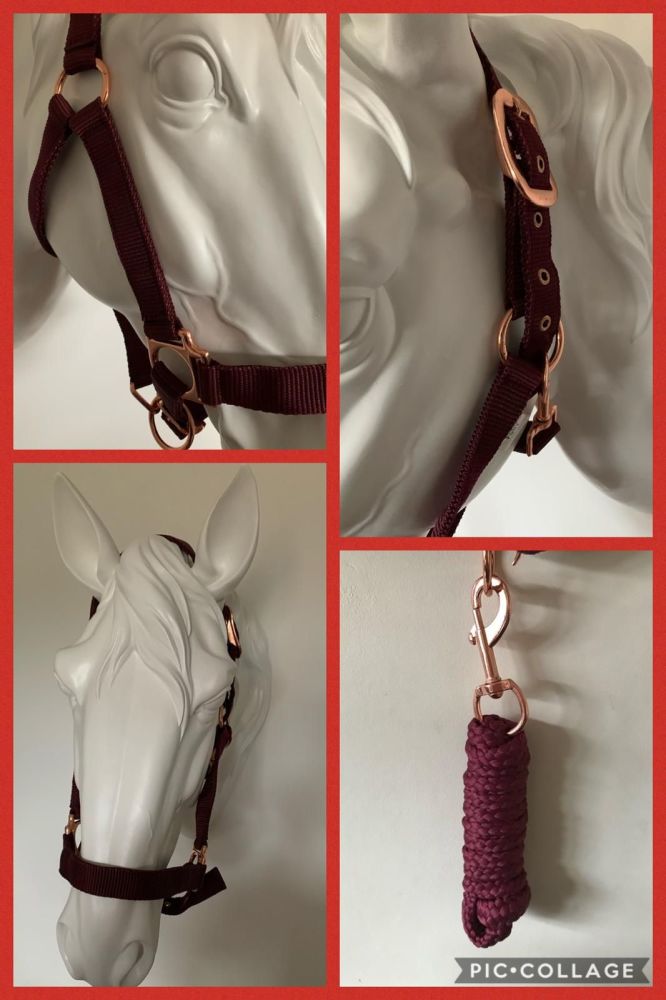Head Collar and Lead Rope, Rose Gold, Burgundy