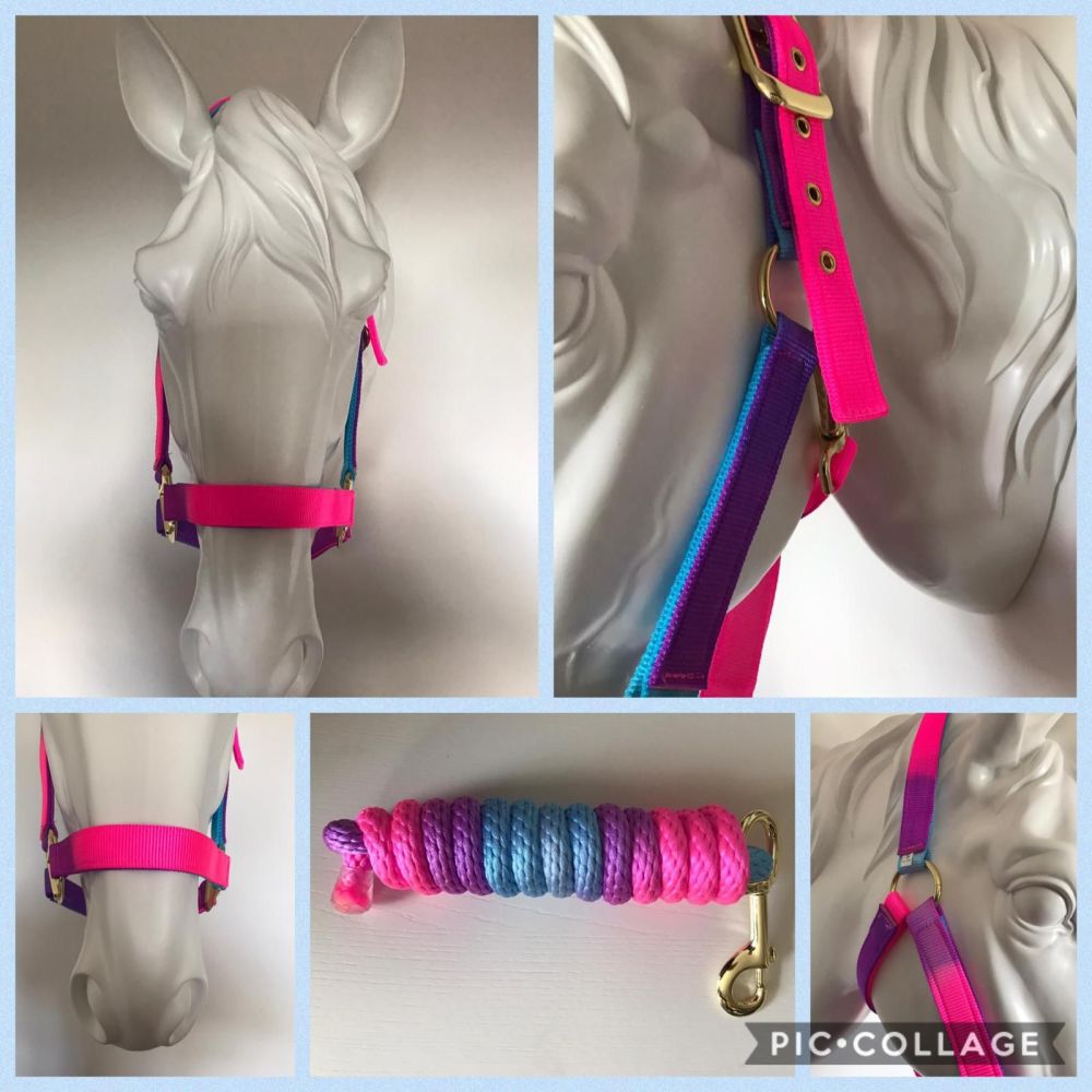 Headcollar and Lead Rope, Aqua and Pink