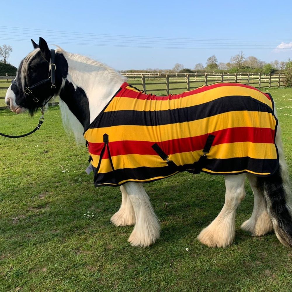 Fleece Rug, Black, Red and Yellow (Newmarket)