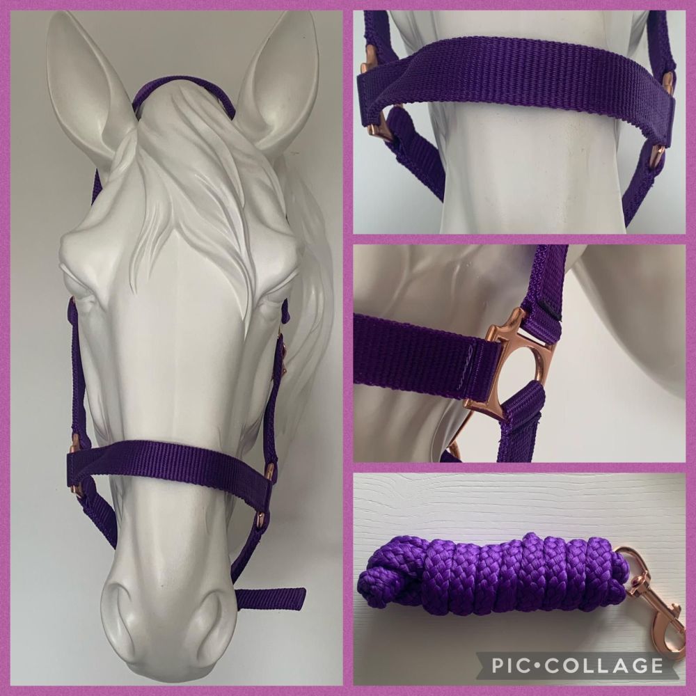 Head Collar and Lead Rope, Rose Gold, Purple