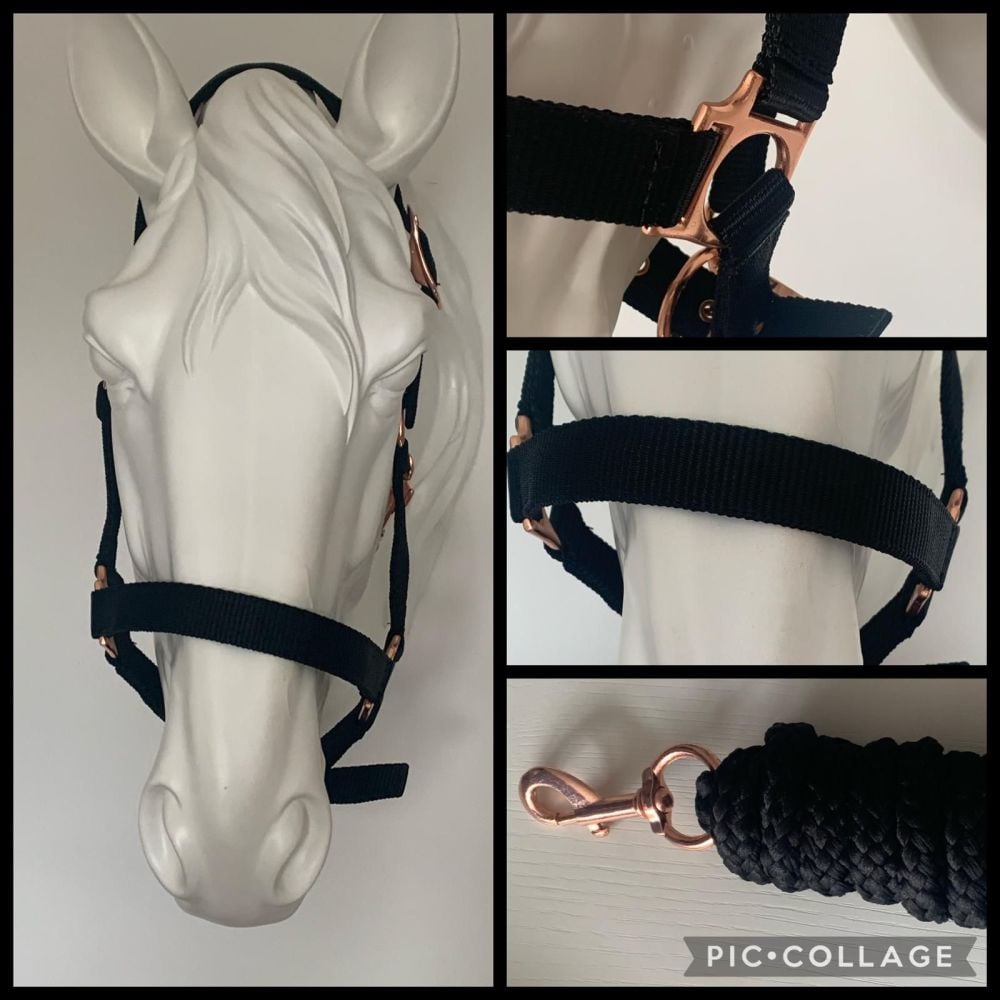 Head Collar and Lead Rope, Rose Gold, Black