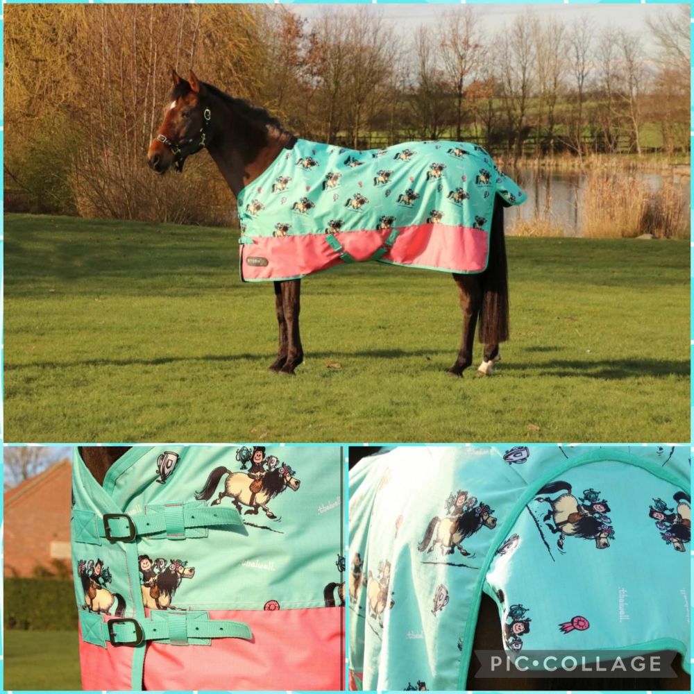 Thelwell Collection, 0g Turnout Rug