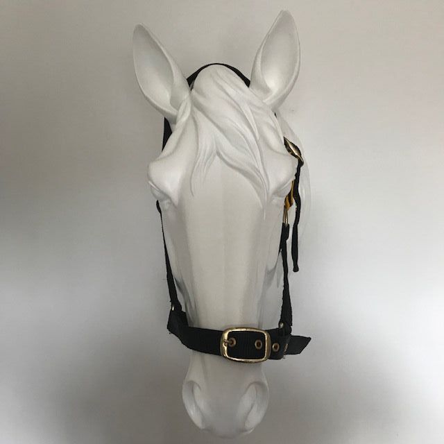 Field Safe Headcollar, Black with Yellow (Pony to Full)