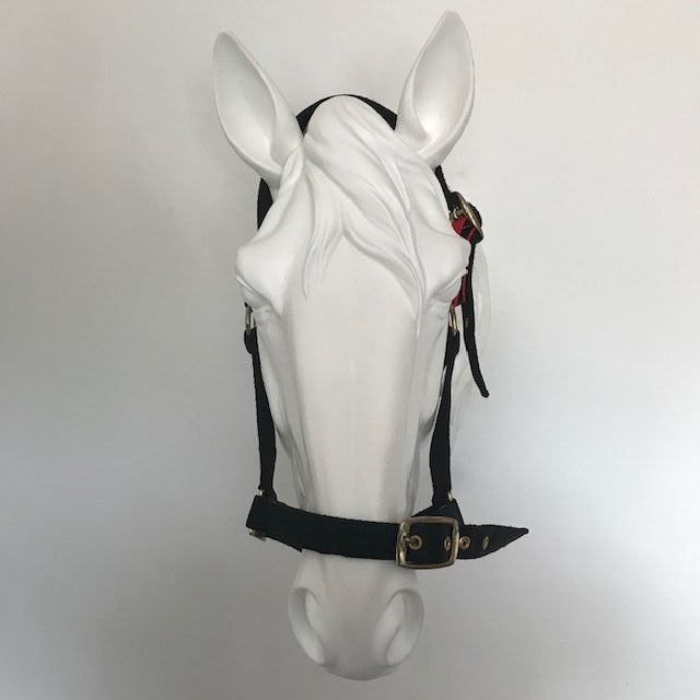 Field Safe Headcollar, Black with Red (Pony to Full)