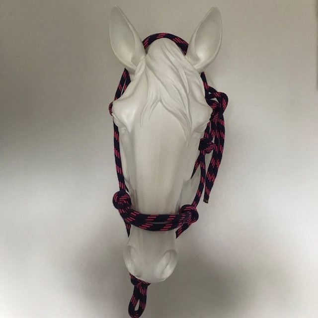 Control Halter, Pink and Purple