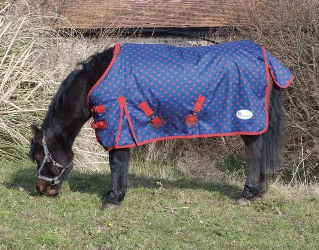 Turnout Rug, Shetland/ Foal, Blue with Red Dots