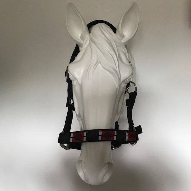 Polo Nylon Headcollar, Red, White and Navy, Pony