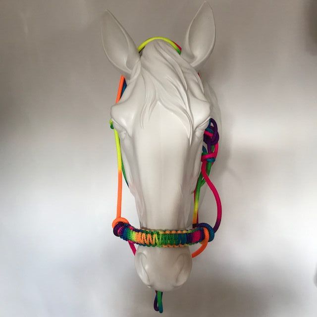 Rope Halter: Knotted, Rainbow
