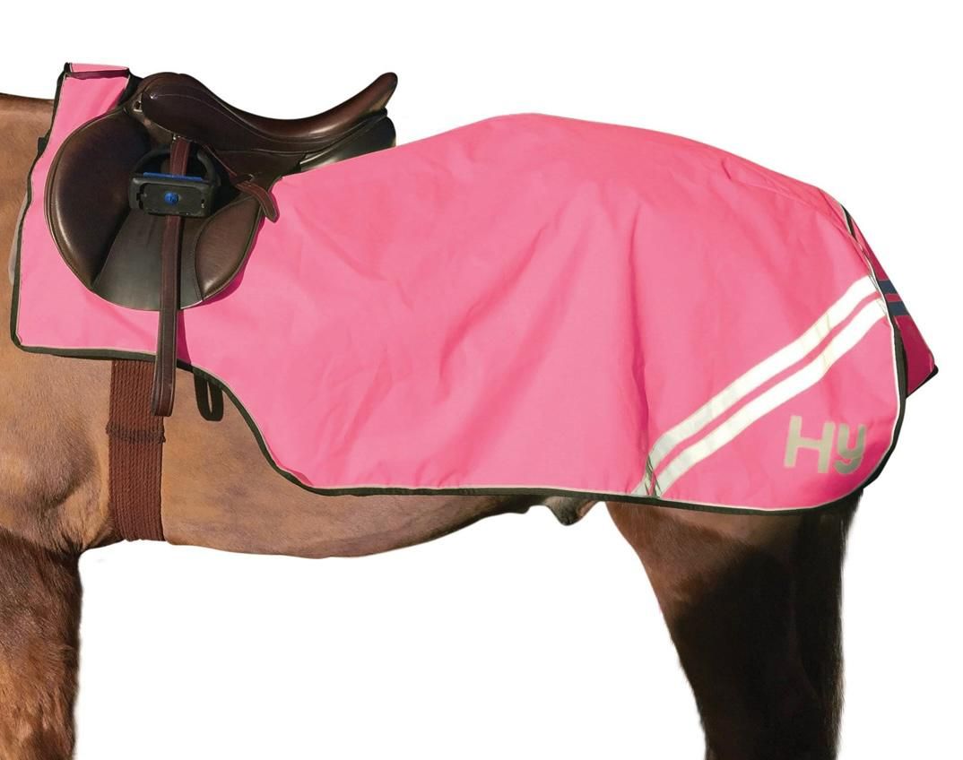 Exercise Sheet, Reflective, Pink, 4'9" (to fit 6'3" to 6'6" rug) 