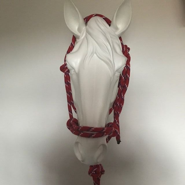 Control Halter, Red, White and Blue