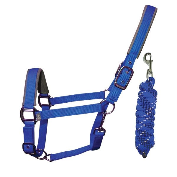 Woof Wear, Contour Headcollar and Lead Rope, Electric Blue, Pony
