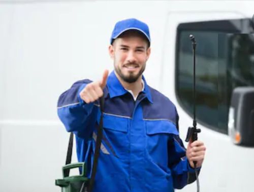 Organic Pest Control Services Mandurah, Rockingham and Bunbury