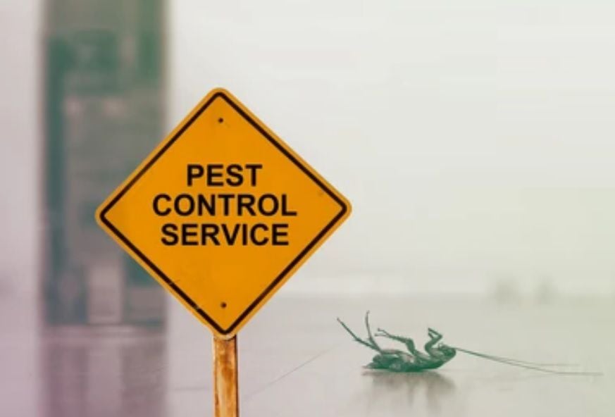 Pest Control Cockburn