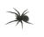 Black House Spider Pest Control with the Whiteant Man