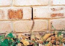 Termite Warranty Western Australia