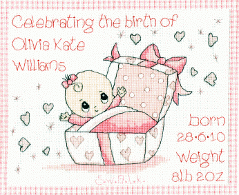 SWALK - special baby girl sampler cross stitch