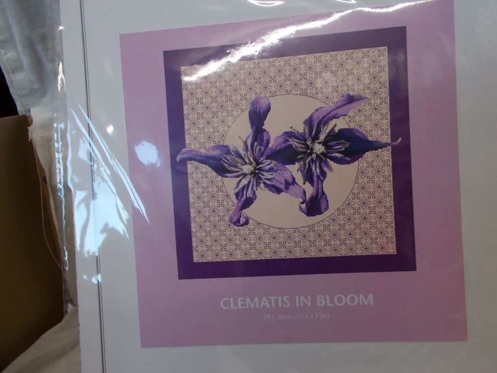 Clematis in bloom chart