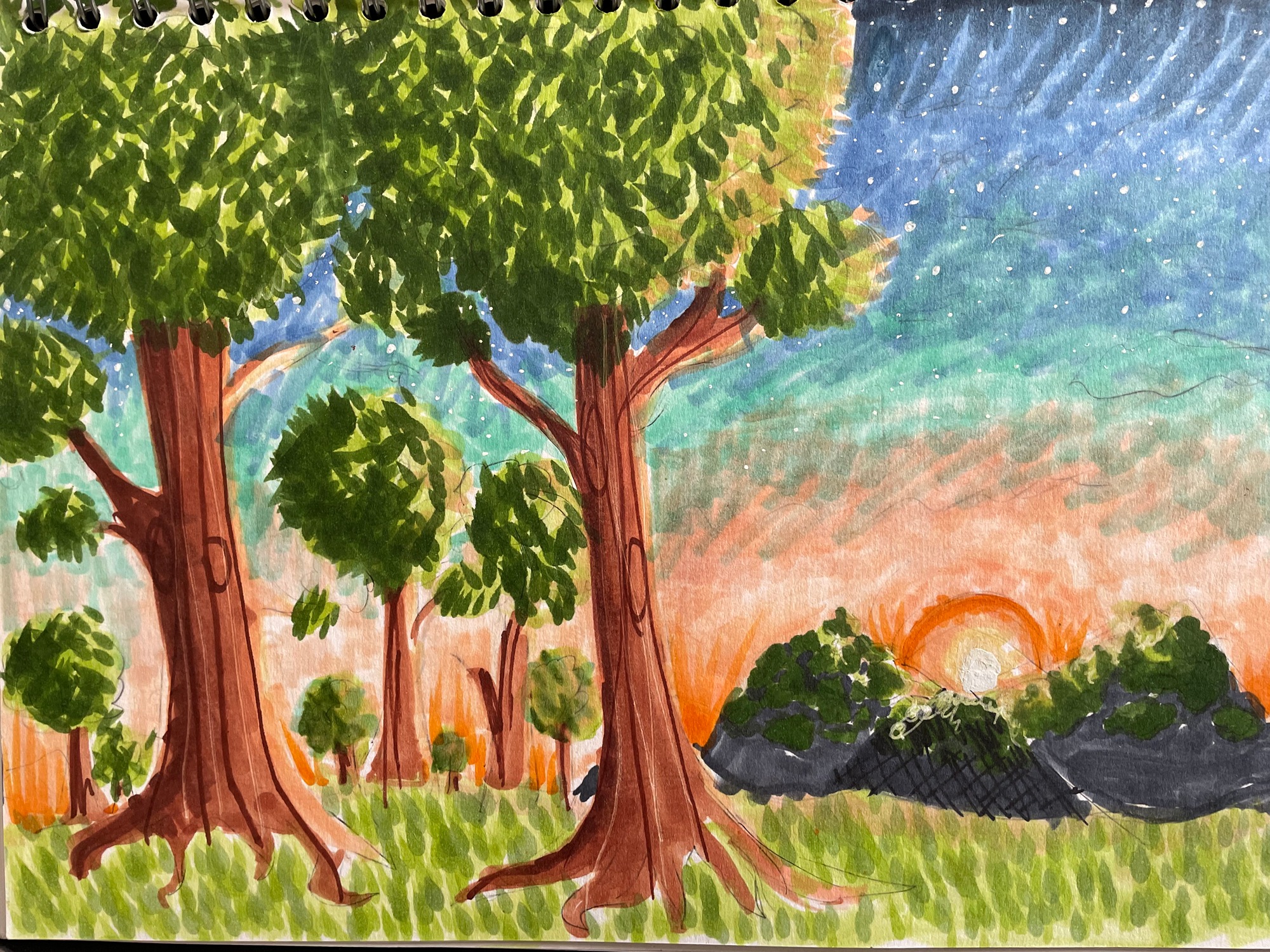 3rd 14 Emilia Gilbert