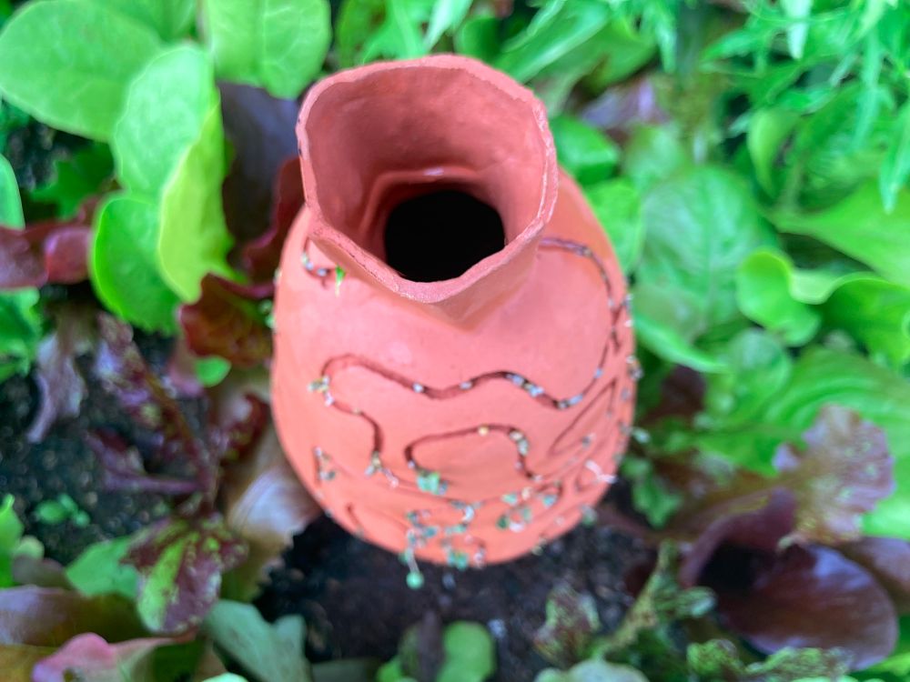 Olla Seed