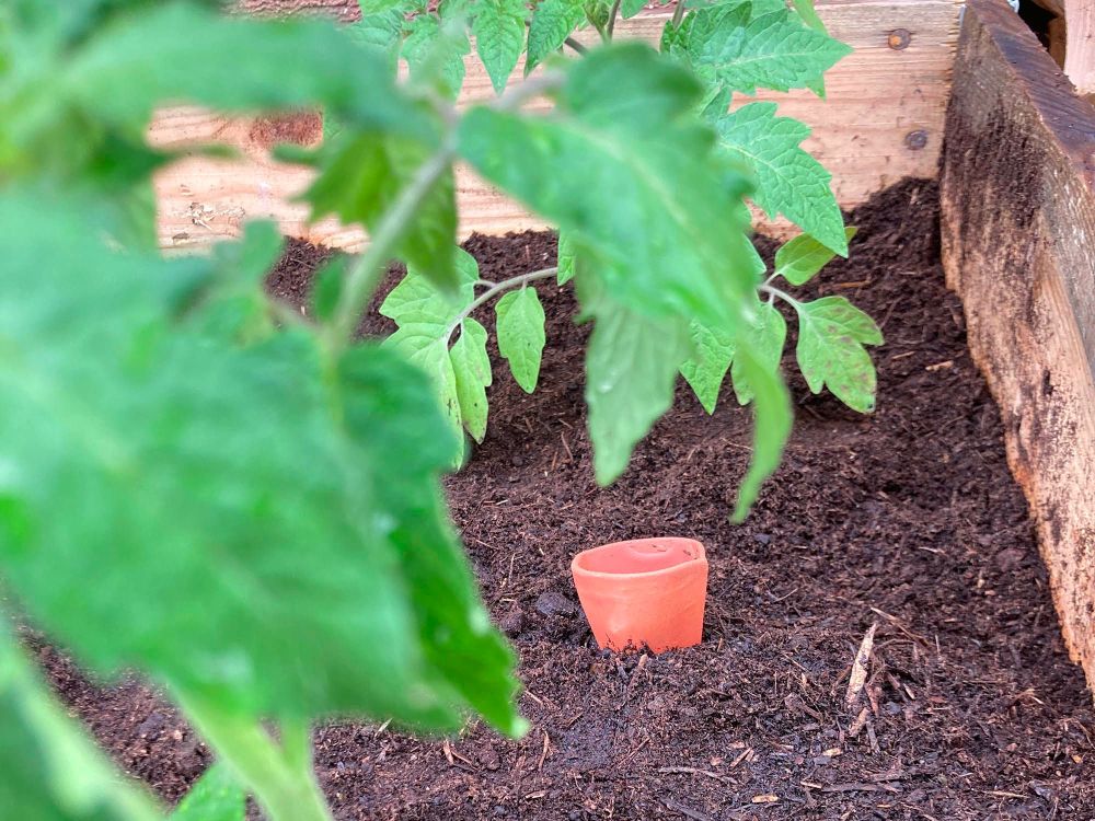Olla Water | Squash