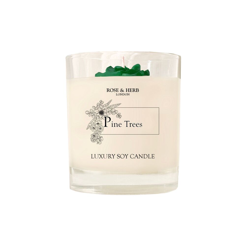 PINE TREES - Classic Soy Candle