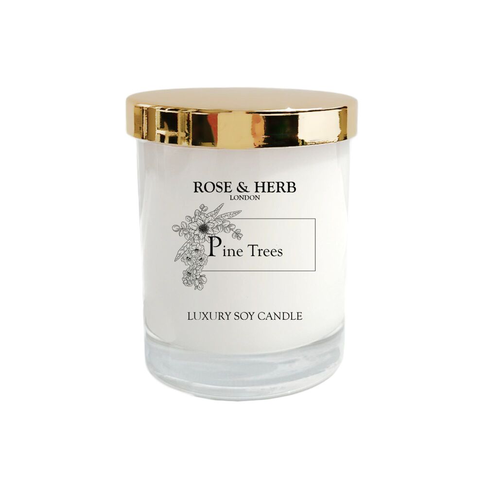 PINE TREES - Classic Soy Candle