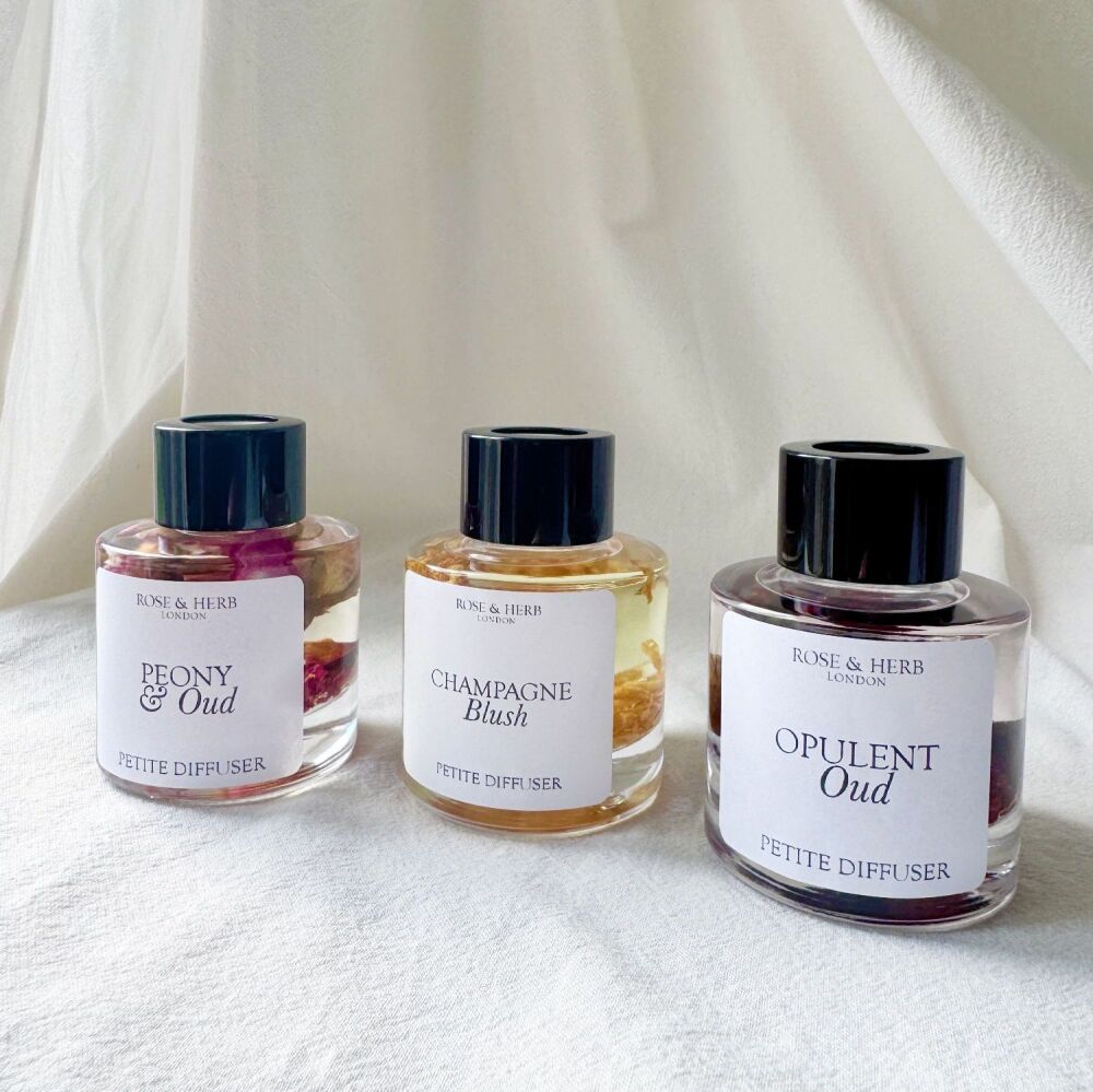 CHAMPAGNE BLUSH - Petite Diffuser
