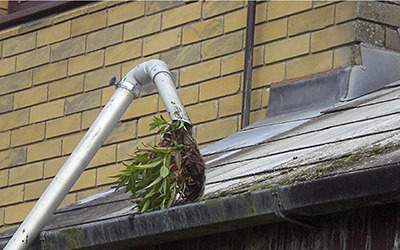 Gutter cleaning telford, shifnal, newport shropshire, Protect Your Property with Expert Gutter Cleaning  Clogged gutters can lead to serious damage to your homeâ€™s foundation, walls, and landscaping. we offer comprehensive gutter cleaning services in Telford, shifnal and newport shropshire to keep your gutters flowing smoothly and protect your property from potential damage.  Why Regular Gutter Cleaning is Important  Prevent Water Damage: Clogged gutters can cause water to overflow and seep into your homeâ€™s foundation, leading to costly repairs. Avoid Pest Infestations: Stagnant water in blocked gutters can become a breeding ground for pests like mosquitoes and insects. Extend Gutter Life: Regular cleaning helps prevent rust and corrosion, extending the lifespan of your gutters.